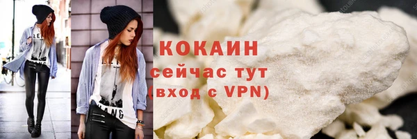 шишки Дмитров
