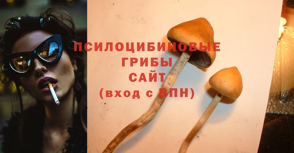 шишки Дмитров