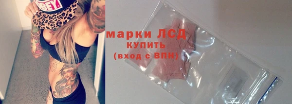шишки Дмитров