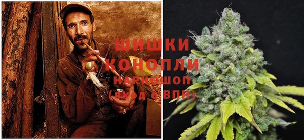 шишки Дмитров
