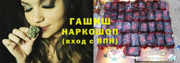шишки Дмитров