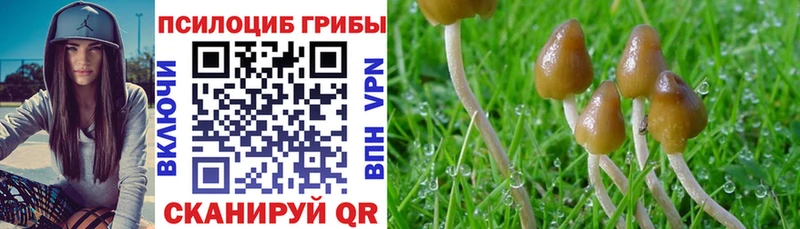 Купить где  Югорск  Псилоцибиновые грибы ЛСД 